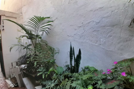 Casa à venda com 4 quartos em Vila Ipojuca, São Paulo, SP