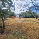 Terreno à venda em Portal da Figueira, Itapetininga, SP