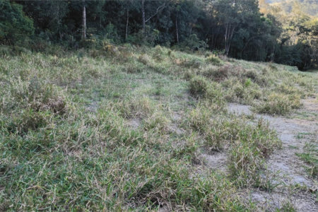 Terreno à venda em Vila Darcy Penteado (mailasqui), São Roque, SP