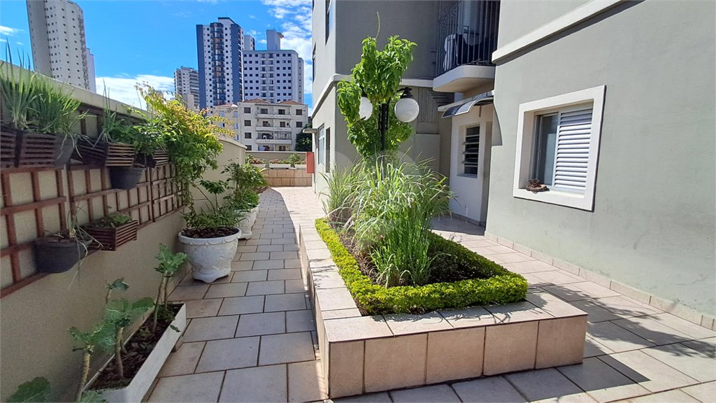 Apartamento à venda com 3 quartos, sendo 1 suíte, em Jardim São Paulo(zona Norte), São Paulo, SP