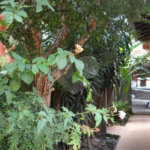 Casa Térrea à venda com 3 quartos em Pinheiros, São Paulo, SP