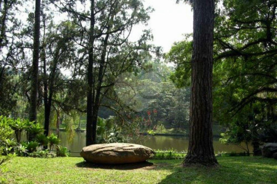 Terreno à venda em Horto Florestal, São Paulo, SP