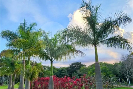 Refúgio de Alto Padrão em Condomínio Fechado: Natureza, Charme e 5.500m² de Terreno