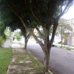 Terreno à venda no condomínio Real Park - Vila Oliveira, Mogi das Cruzes - SP