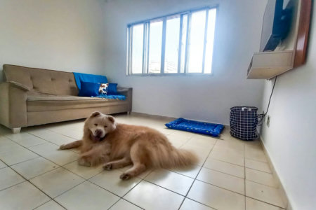 🏖️ Apartamento à Venda – Ocian, Praia Grande – 1 Dormitório a 400m da Praia!