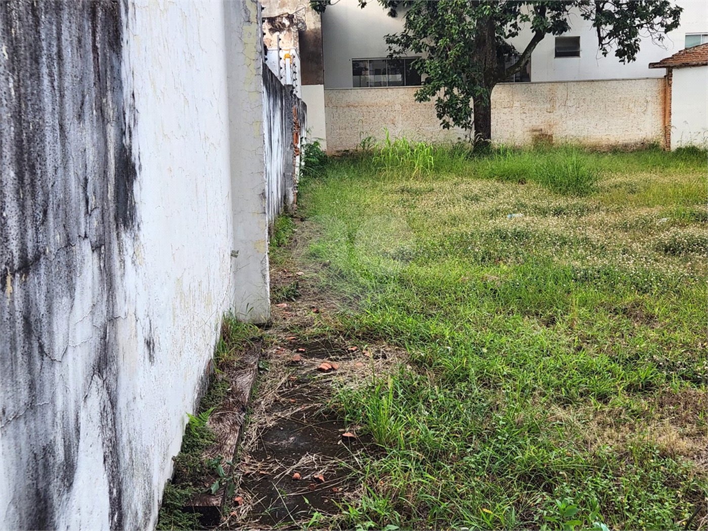 Terreno para alugar no Centro, Araraquara, SP