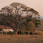 Chácara à venda com 4 quartos, sendo 1 suíte, em Zona Rural, Porangaba, SP