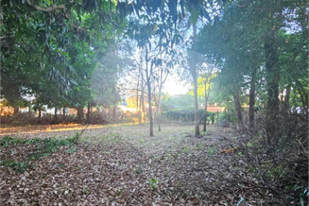 Terreno à venda em Jardim dos Estados, Ponta Porã, MS