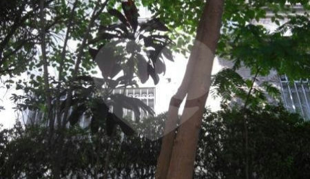 Terreno à venda com 4 quartos em Santana, São Paulo, SP