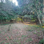 Terreno à venda em Jardim dos Estados, Ponta Porã, MS
