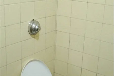 Apartamento à venda com 1 quarto em Lapa de Baixo, São Paulo, SP