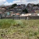 Terreno à venda em Vila Guilherme, São Paulo, SP