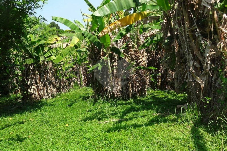 Terreno à venda em Horto Florestal, São Paulo, SP