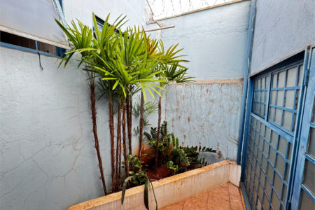 Casa à venda com 3 quartos, sendo 1 suíte, em Vila Monte Alegre, Ribeirão Preto, SP