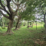 SÍTIO À VENDA EM ELIAS FAUSTO 21.900 m² - ÓTIMA TOPOGRAFIA E EXCELENTE LOCALIZAÇÃO