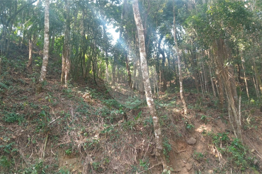 Terreno à venda em Serra da Cantareira, Mairiporã, SP
