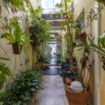 Sobrado à venda com 4 quartos, sendo 1 suíte,  em Vila Cruzeiro, São Paulo, SP