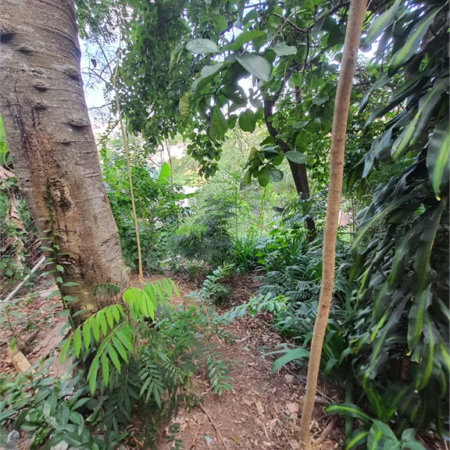 Loteamento à venda em Jardim Amália, São Paulo, SP