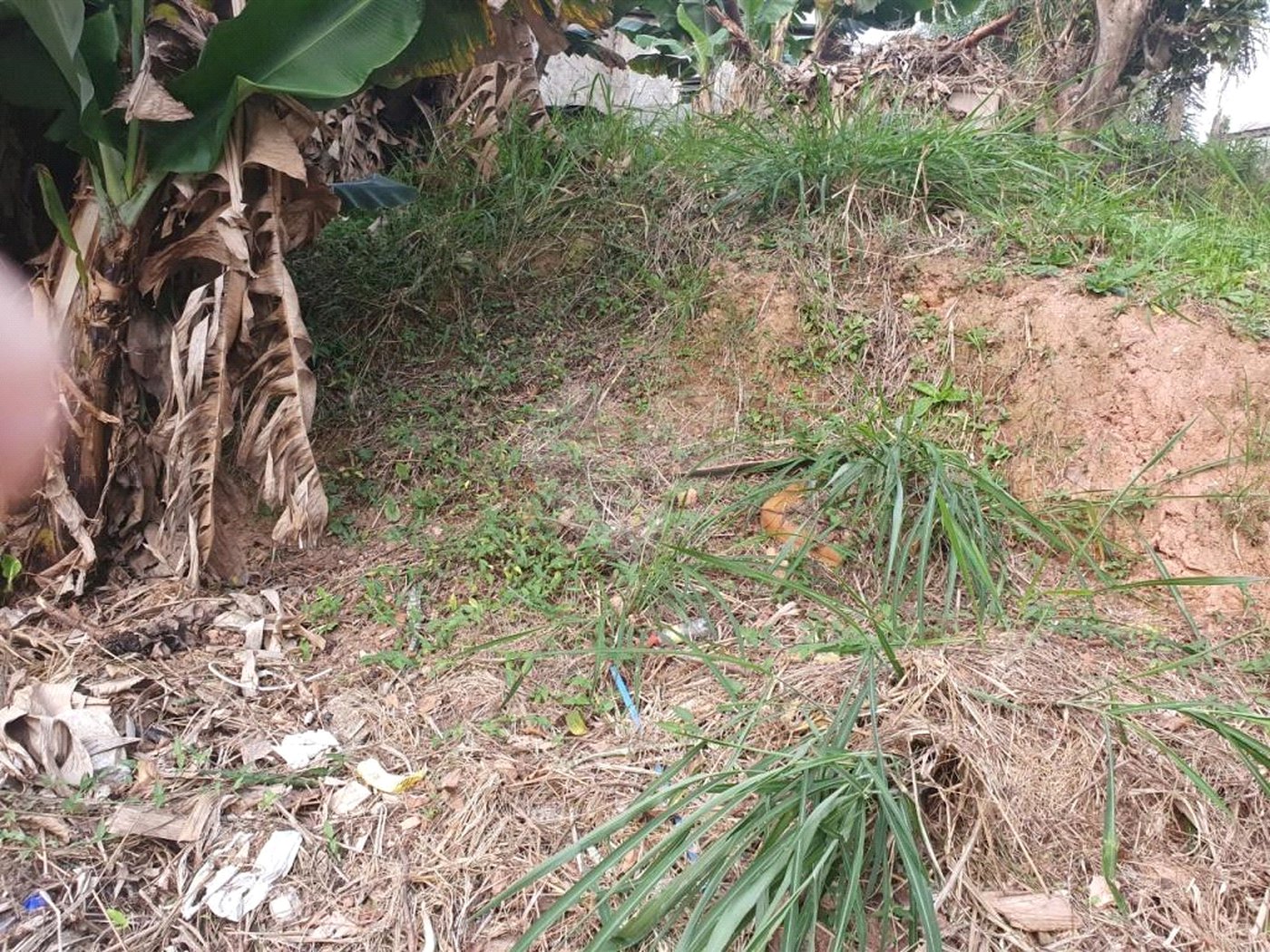 Terreno à venda em Vila Indiana, São Paulo, SP
