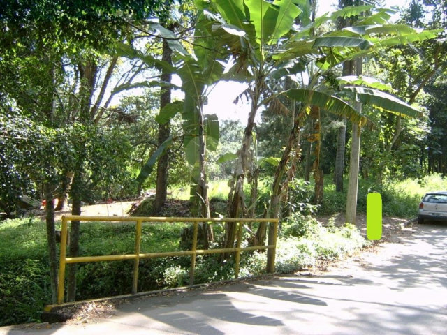 Casa Térrea à venda com 3 quartos em Vila Maria Alta, São Paulo, SP