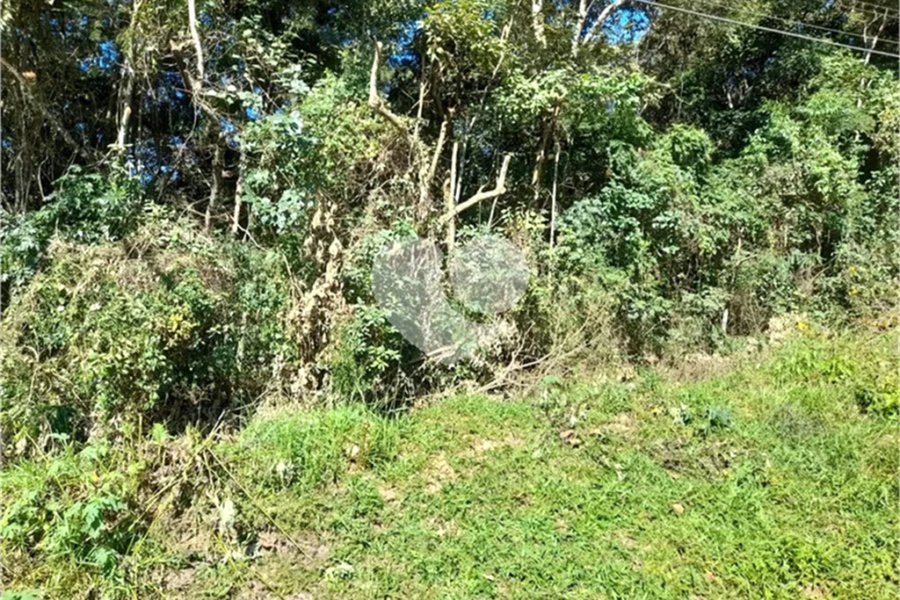 Terreno à venda em Roseira, Mairiporã, SP