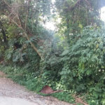 Terreno à venda em Tremembé, São Paulo, SP