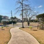 Casa à venda com 3 suítes no condomínio Haras Paineiras, Salto - SP