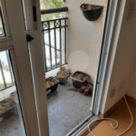 Apartamento à venda ou para alugar com 3 quartos, sendo 1 suíte,  em Vila Suzana, São Paulo, SP