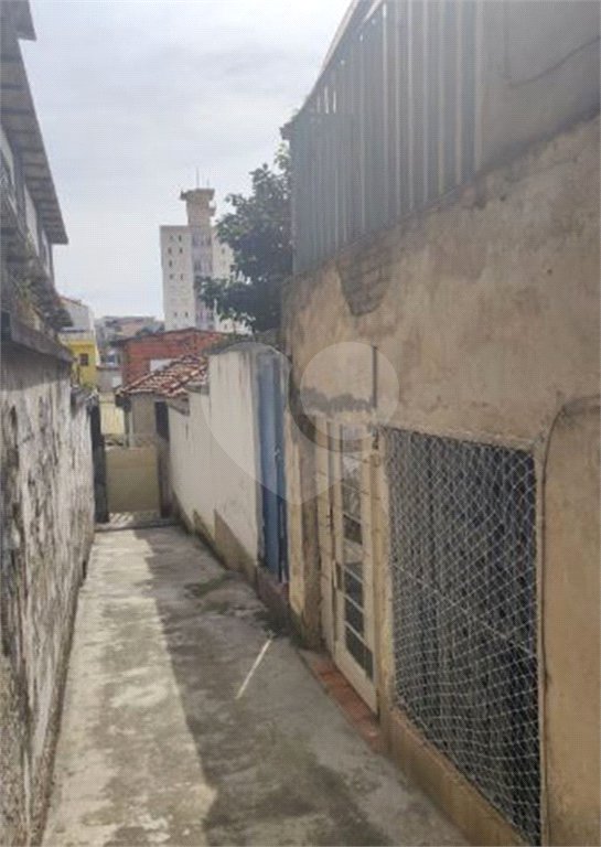 Terreno à venda com 5 quartos em Vila Gustavo, São Paulo, SP