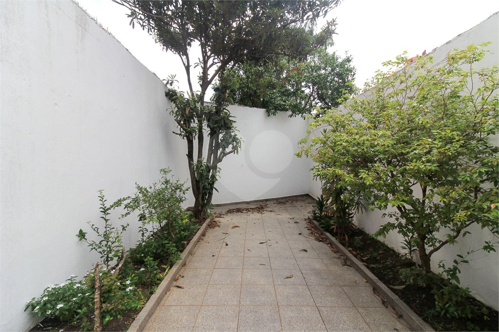 Casa Térrea à venda com 3 quartos em Vila Isolina Mazzei, São Paulo, SP