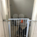 Apartamento à venda com 2 quartos em Freguesia do Ó, São Paulo, SP