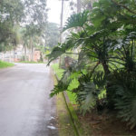 Condomínio à venda em Serra da Cantareira, Mairiporã, SP