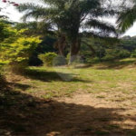 Terreno à venda em Bairro do Cambará, São Roque, SP