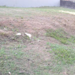 Terreno à venda em Jardim Ypê, Paulínia, SP