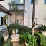 Apartamento à venda com 3 quartos em Mandaqui, São Paulo, SP