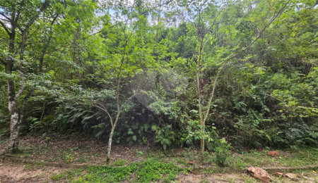 Terreno à venda em Chácara Recreio Lagoa dos Patos, Jundiaí, SP