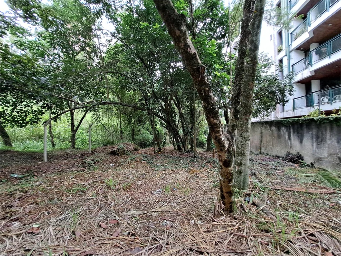 Terreno à venda em Jardim Ampliação, São Paulo, SP