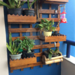 Apartamento à venda com 3 quartos, sendo 1 suíte, em Tucuruvi, São Paulo, SP