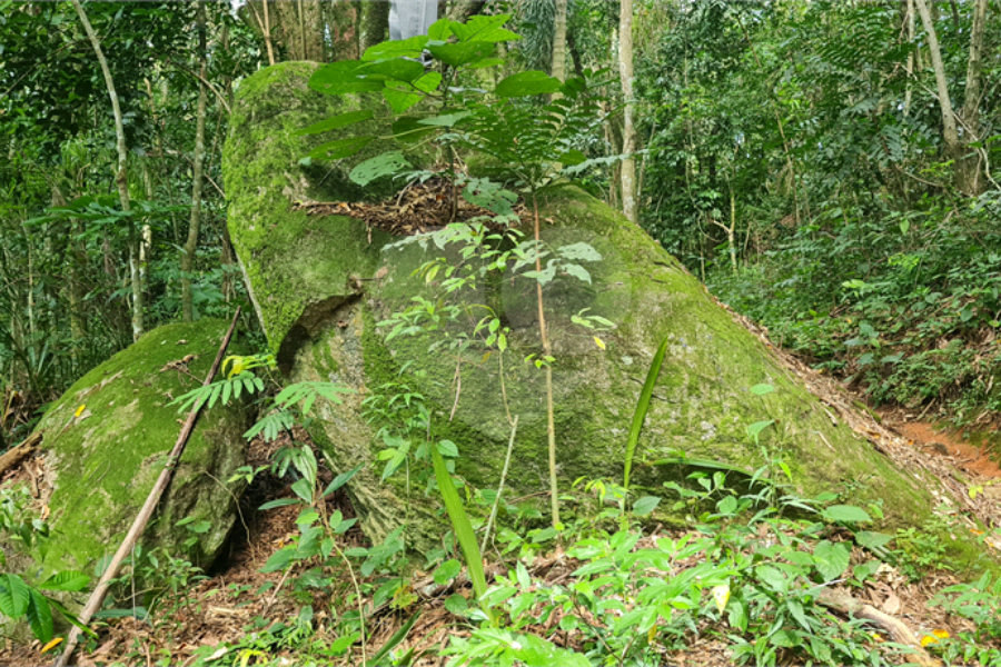 Terreno à venda em Caraguatá, Mairiporã, SP