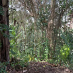 Terreno à venda em Paraisópolis, São Paulo, SP