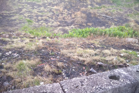Terreno à venda em Vila Oliveira, Mogi das Cruzes, SP