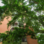 Duplex à venda com 2 quartos, sendo 1 suíte, em Vila Clementino, São Paulo, SP