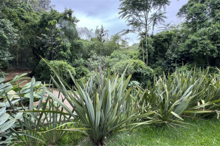 Casa à venda com 3 suítes no condomínio Residencial Delle Stelle, Louveira - SP