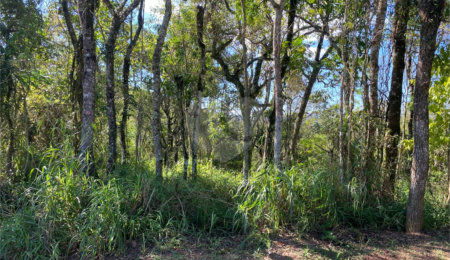 Terreno à venda no condomínio Sausalito, Mairiporã - SP