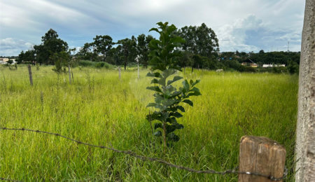 Terreno à venda em Vila Rubens, Itapetininga, SP