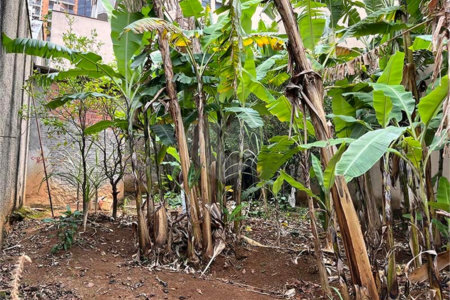Terreno à venda em Santana, São Paulo, SP