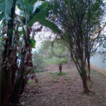 Sobrado à venda com 2 quartos em Jaraguá, São Paulo, SP