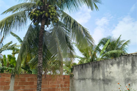 Terreno à venda em Campo Grande, Rio de Janeiro, RJ