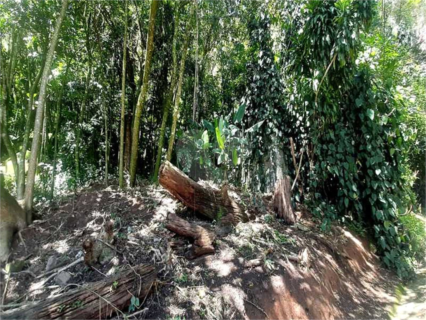 Terreno à venda em Serra da Cantareira, Mairiporã, SP