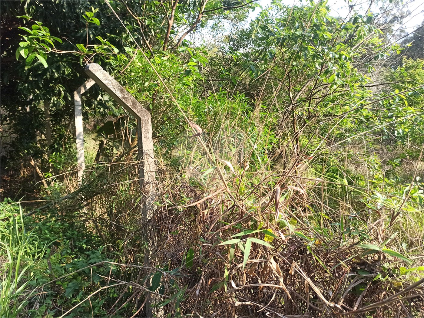 Terreno à venda em Bosque dos Eucalíptos, Atibaia, SP